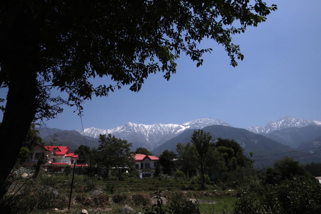 Harmony Blue Mcleodganj McLeod Ganj Exterior photo